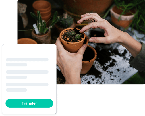 Abstract example of transferring domain and UI mockup